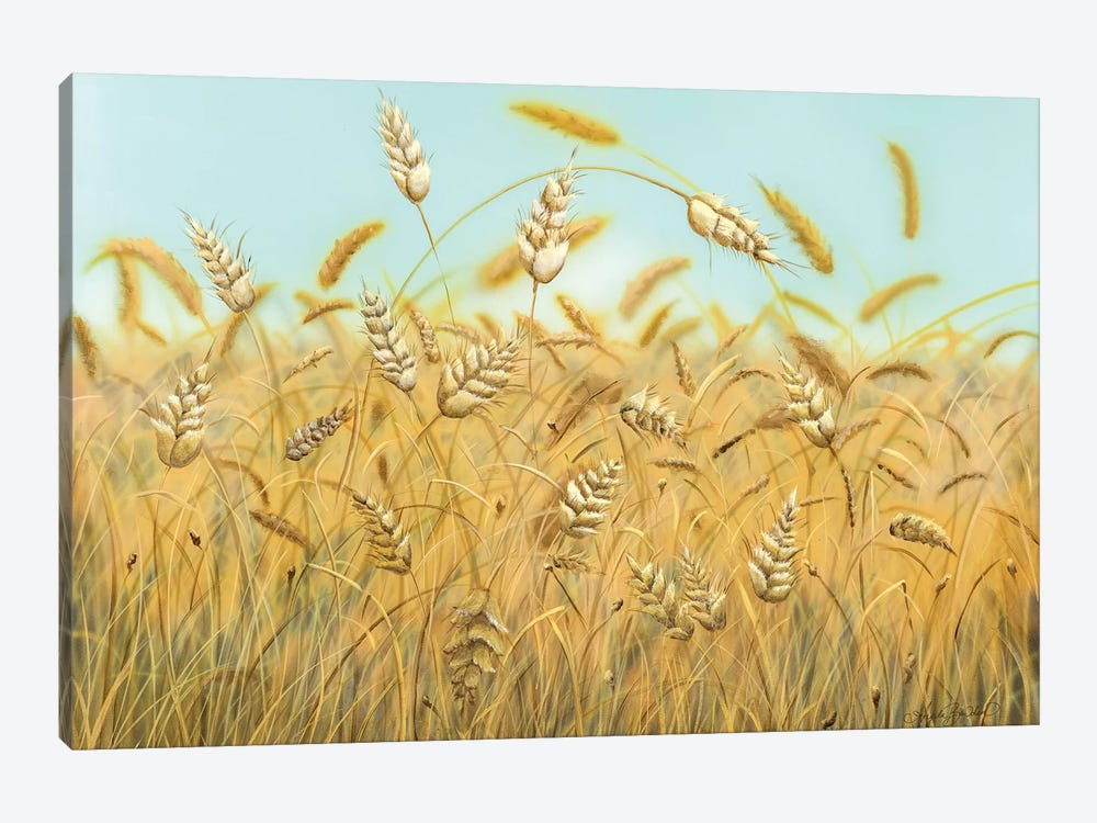 Field Of Daydreams by Angela Bawden 1-piece Canvas Print