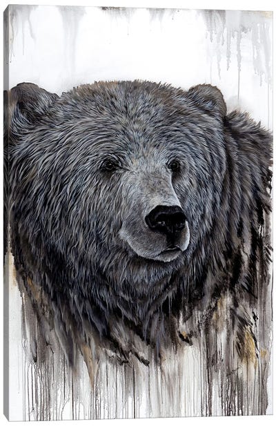 Giant Kodiak Canvas Art Print - Angela Bawden