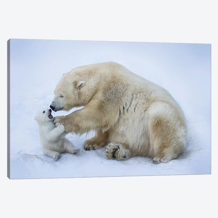 Polar Bear With Mom I Canvas Print #ABE2} by Anton Belovodchenko Art Print