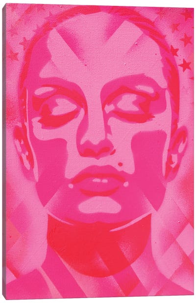 Skin Deep Pinks Canvas Art Print - Abstract Graffiti Art