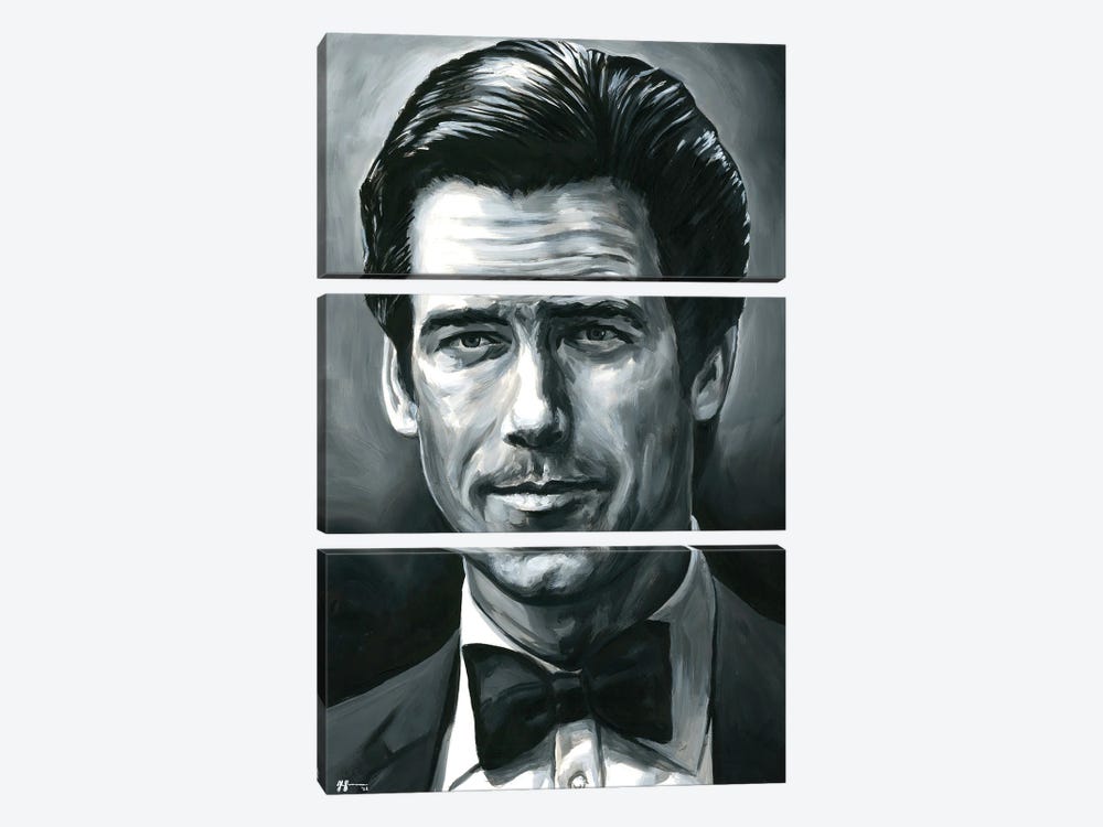 Pierce Brosnan - James Bond 007 by Alex Stutchbury 3-piece Canvas Wall Art