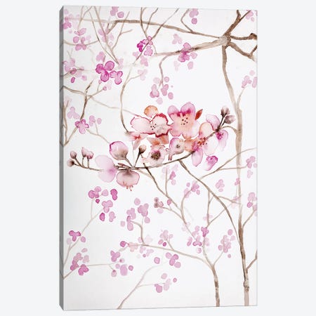 Cherry Blossoms Canvas Print #ABI5} by Andrea Bijou Canvas Artwork