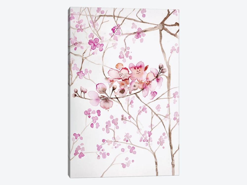 Cherry Blossoms by Andrea Bijou 1-piece Canvas Art
