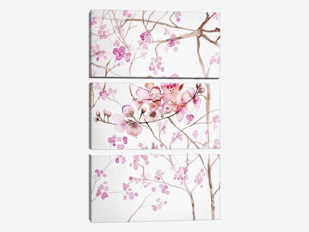 Cherry Blossoms by Andrea Bijou 3-piece Canvas Wall Art