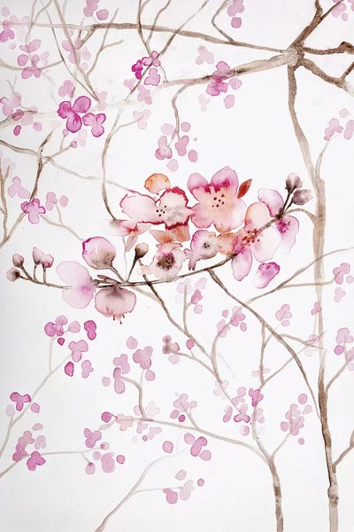 Roaring Brook Art: Cherry Blossoms by Andrea Bijou