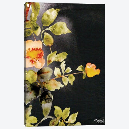 Roses on Black Canvas Print #ABI9} by Andrea Bijou Canvas Print