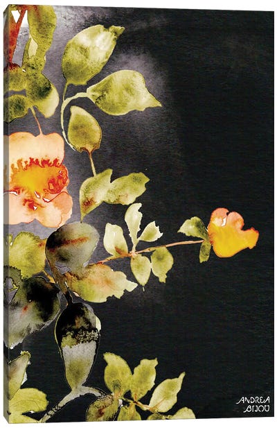 Roses on Black Canvas Art Print