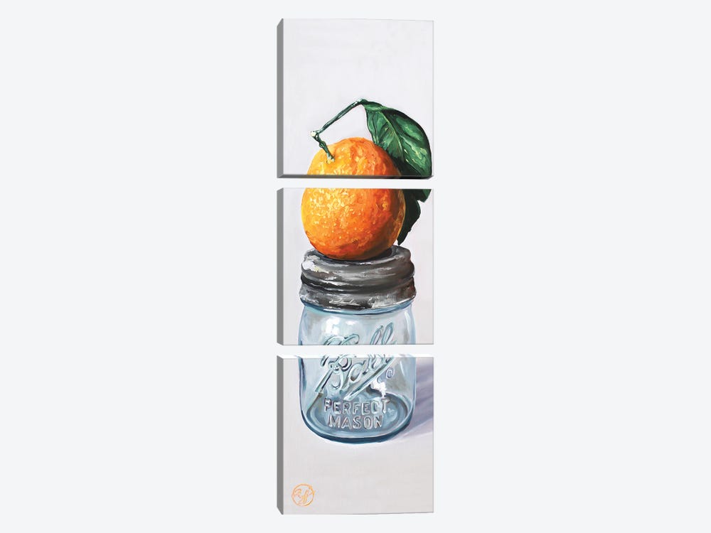 Half Pint Tangerine by Abra Johnson 3-piece Canvas Art