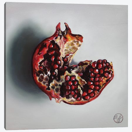 Pomegranate Canvas Print #ABJ17} by Abra Johnson Canvas Art