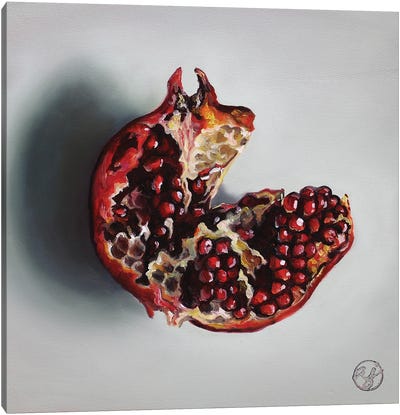Pomegranate Canvas Art Print - Abra Johnson