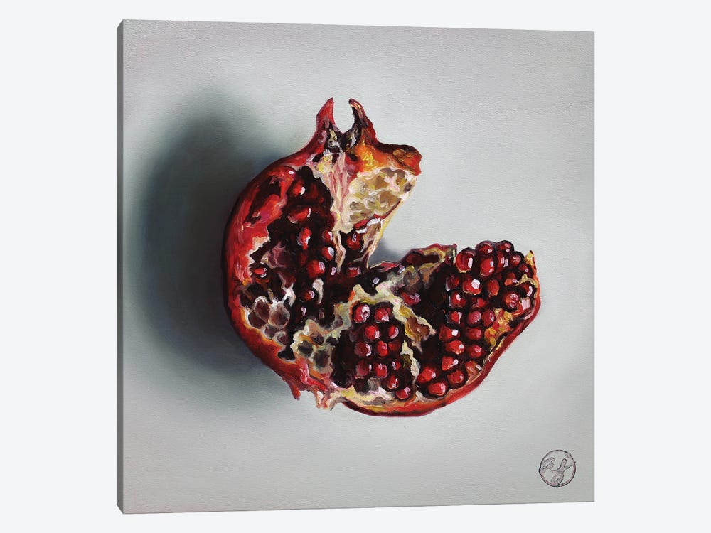 Pomegranate by Abra Johnson 1-piece Canvas Wall Art