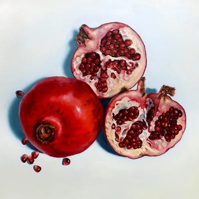 Pomegranates by Abra Johnson art print