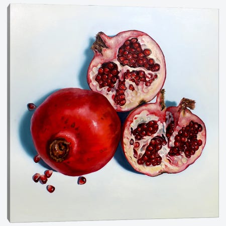 Pomegranates Canvas Print #ABJ38} by Abra Johnson Canvas Art Print