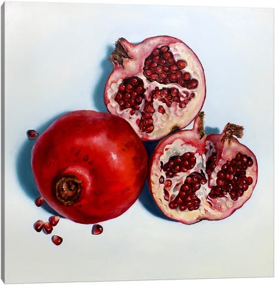 Pomegranates Canvas Art Print - Abra Johnson