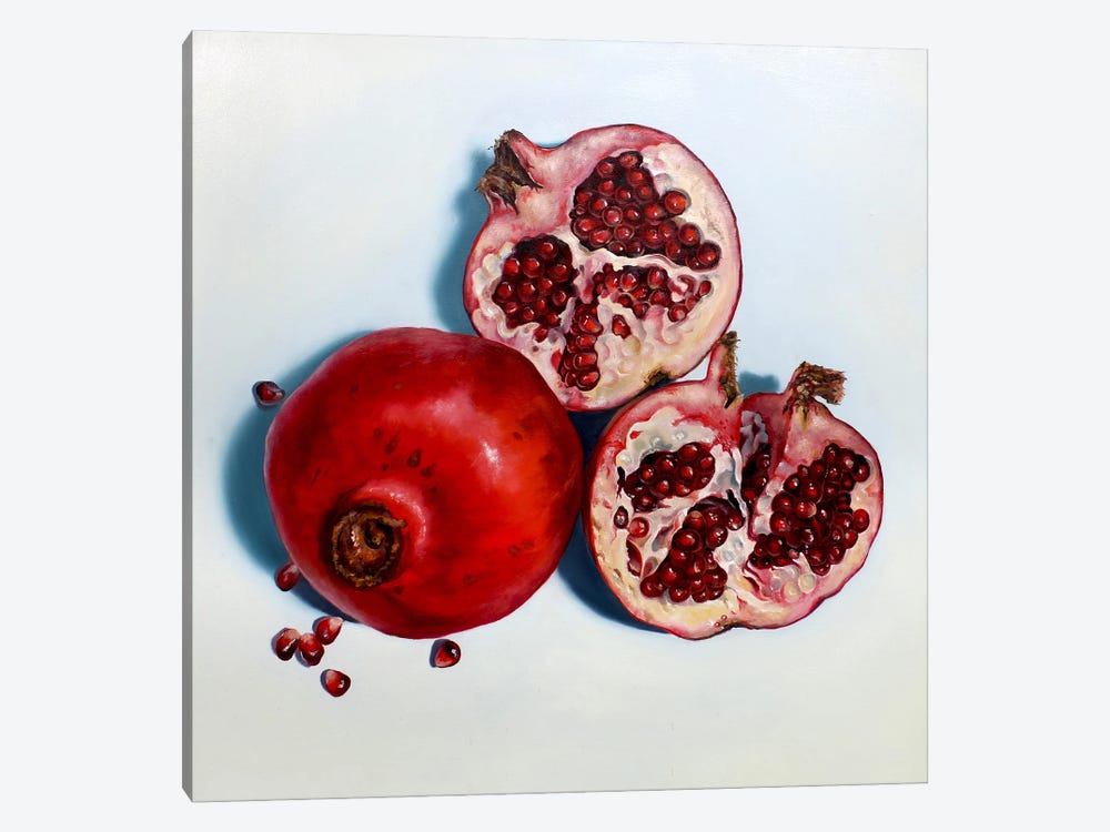 Pomegranates by Abra Johnson 1-piece Canvas Art Print