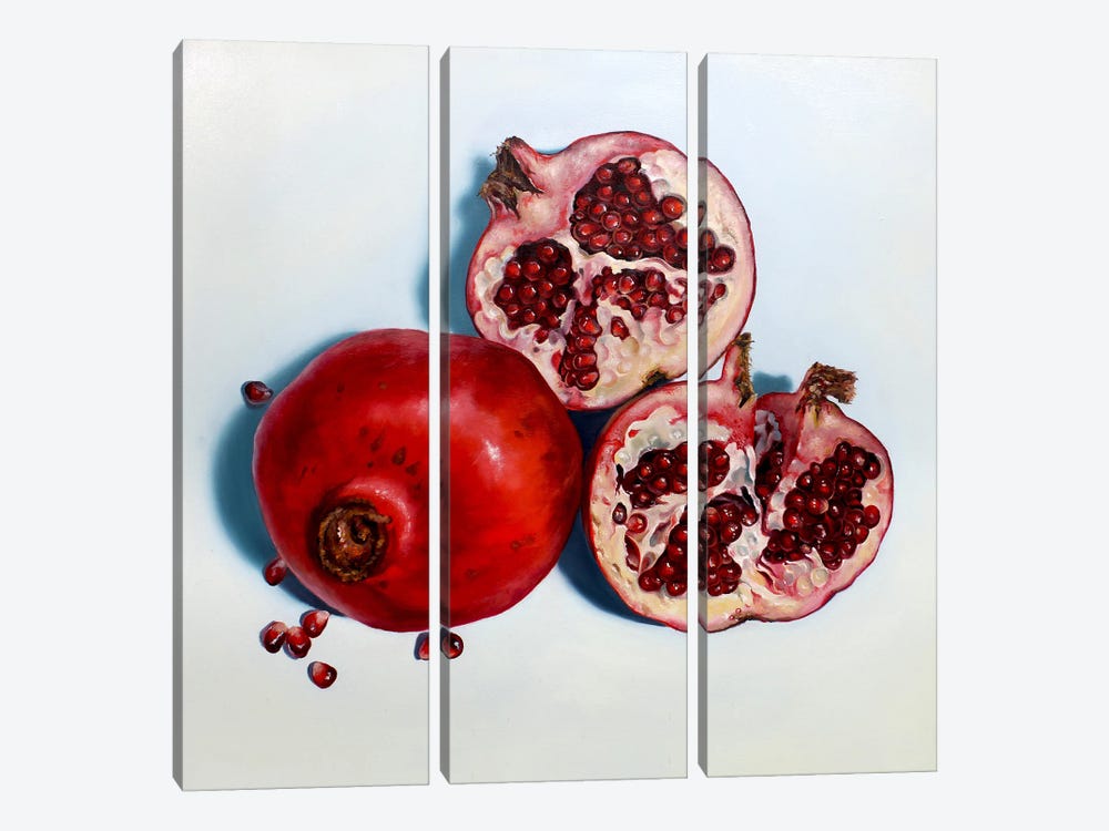 Pomegranates by Abra Johnson 3-piece Canvas Print