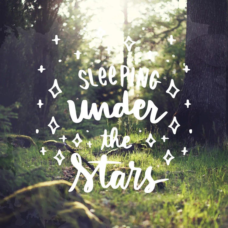 Sleeping Under The Stars by Ann Bailey wall art
