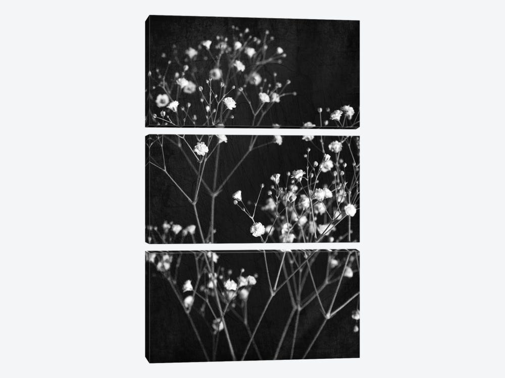 Delicate I by Ann Bailey 3-piece Canvas Wall Art