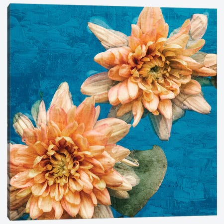 Orange Chrysanthemums Canvas Print #ABL62} by Ann Bailey Canvas Art