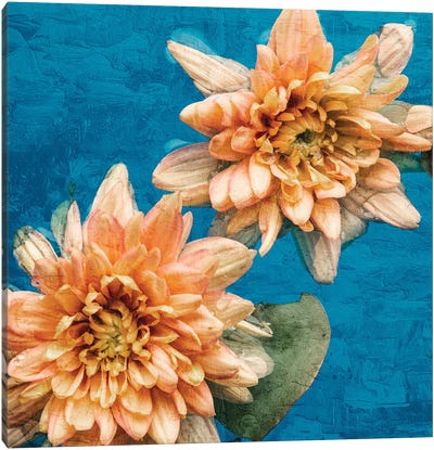 Orange Chrysanthemums Canvas Art Print - Chrysanthemum Art