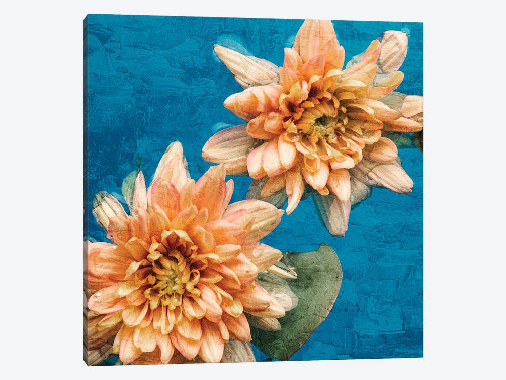 Orange Chrysanthemums by Ann Bailey 1-piece Canvas Wall Art
