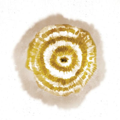 Tie Dye Burst II by Ann Bailey framed wall art