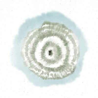 Tie Dye Burst III by Ann Bailey framed wall art