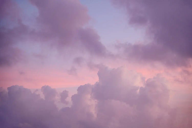 Soft Midnight Caribbean Summer Dream I