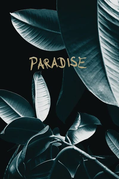 Ficus Elastica Paradise I by Anita's & Bella's Art framed canvas print