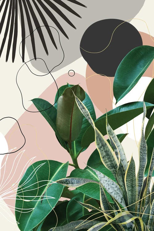 Ficus Snake Plant Fan Palm Finesse I by Anita's & Bella's Art wall art
