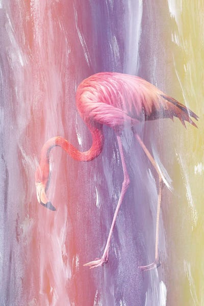 Flamingos: Flamingo In The Colored Rain I by Anita's & Bella's Art