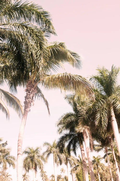 Floridian Palm Tree Vibes II by Anita's & Bella's Art wall art