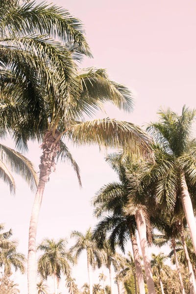 Anita's & Bella's Art: Floridian Palm Tree Vibes II by Anita's & Bella's Art