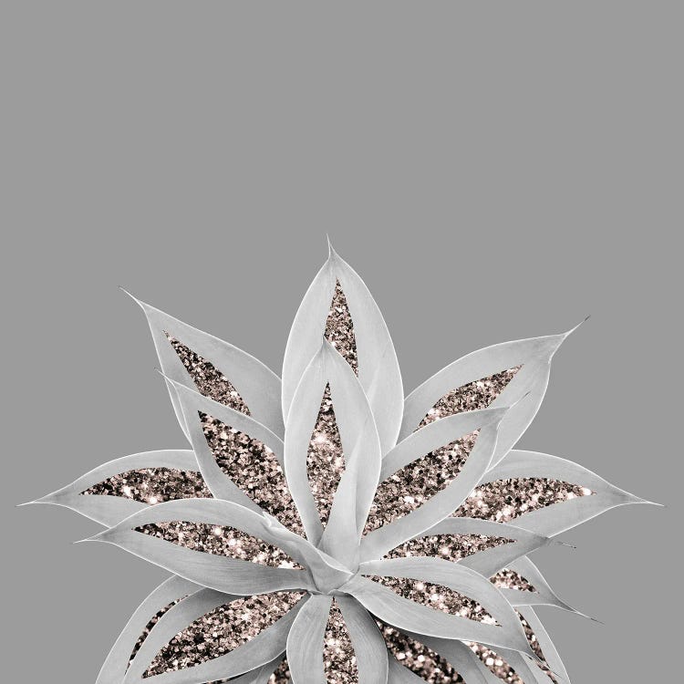 Gray Agave With Rose Gold Glitter I