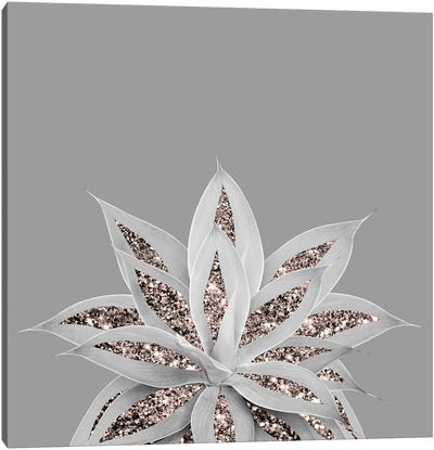Gray Agave With Rose Gold Glitter I Canvas Art Print - Rose Gold Art