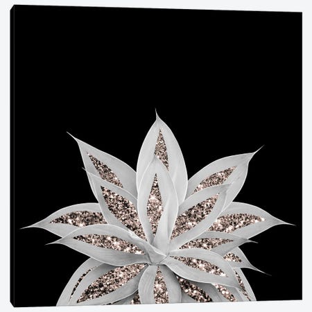 Gray Agave With Rose Gold Glitter II Canvas Print #ABM119} by Anita's & Bella's Art Art Print