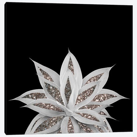 Gray Agave With Silver Glitter I Canvas Print #ABM120} by Anita's & Bella's Art Canvas Wall Art
