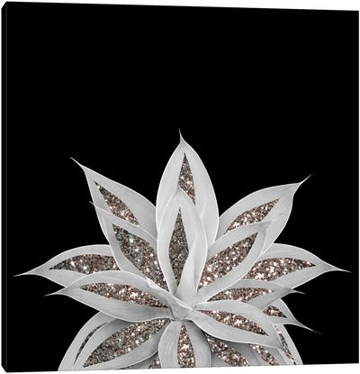 Gray Agave With Silver Glitter I Canvas Art Print