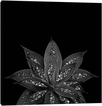 Gray Black Agave With Black Silver Glitter II Canvas Art Print - Black & White Graphics & Illustrations