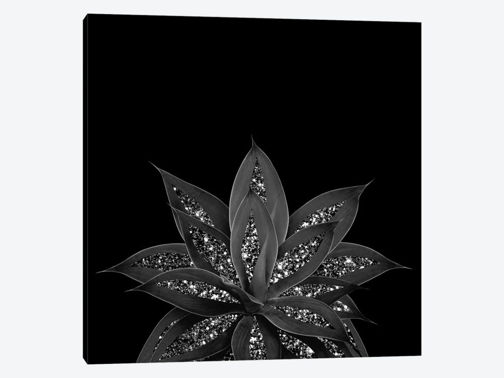 Gray Black Agave With Black Silver Glitter II by Anita's & Bella's Art 1-piece Art Print
