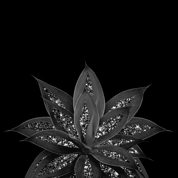 Anita's & Bella's Art: Gray Black Agave With Black Silver Glitter II by Anita's & Bella's Art