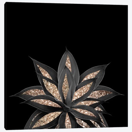 Gray Black Agave With Gold Glitter I Canvas Print #ABM122} by Anita's & Bella's Art Canvas Wall Art