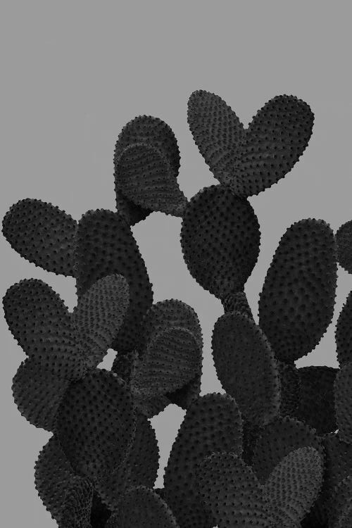 Gray Black Cactus I