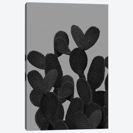Gray Black Cactus I Canvas Print #ABM123} by Anita's & Bella's Art Canvas Wall Art