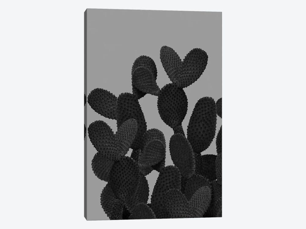 Gray Black Cactus I 1-piece Canvas Art Print