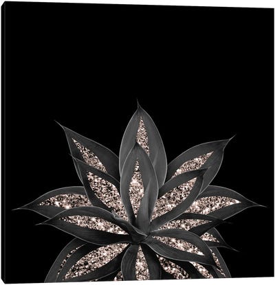Gray Black Agave With Rose Gold Glitter I Canvas Art Print - Rose Gold Art