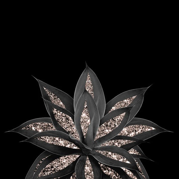 Gray Black Agave With Rose Gold Glitter I