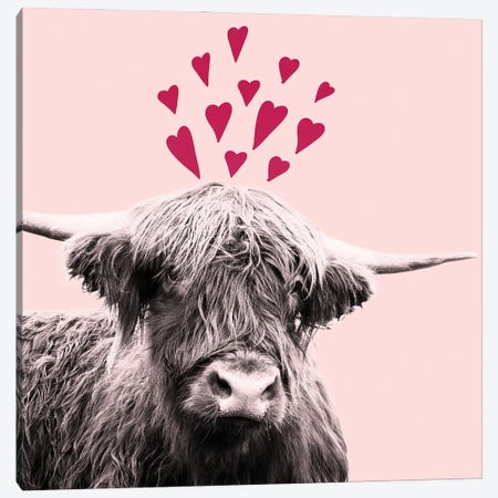 Highland Cow Valentines Day I Canvas Print #ABM137} by Anita's & Bella's Art Canvas Art