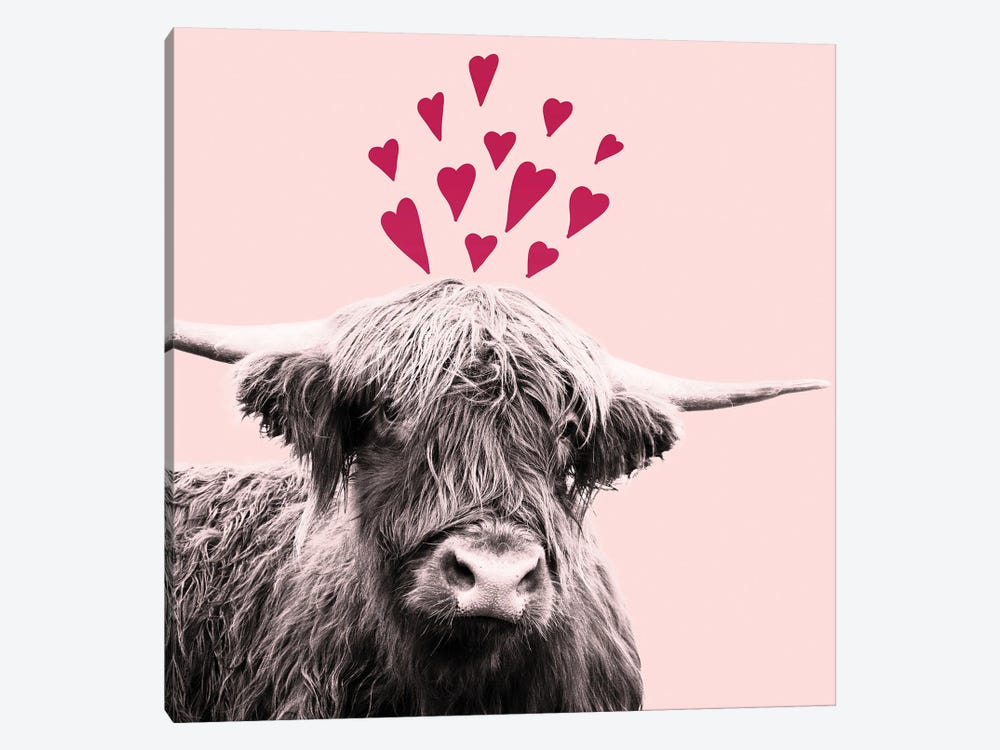 Highland Cow Valentines Day I by Anita's & Bella's Art 1-piece Canvas Art