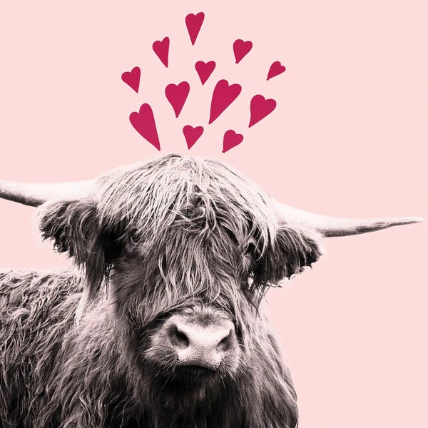 Anita's & Bella's Art: Highland Cow Valentines Day I by Anita's & Bella's Art
